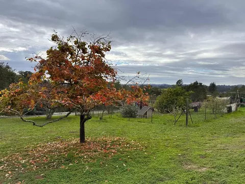 Exterior - 46 Valley View Rd, Watsonville, CA 95076 photo 13 of 18