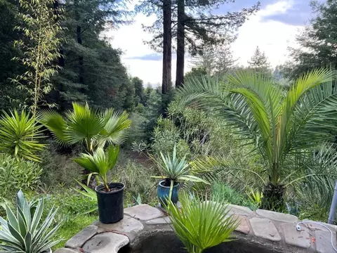 1385 Amaya Ridge Rd, Soquel, CA 95073 photo 3