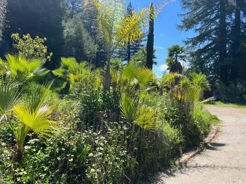 1385 Amaya Ridge Rd, Soquel, CA 95073 photo 14