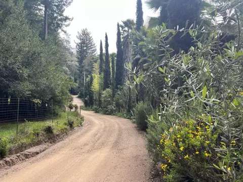 1385 Amaya Ridge Rd, Soquel, CA 95073 photo 5