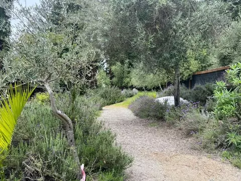 1385 Amaya Ridge Rd, Soquel, CA 95073 photo 6