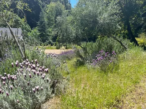 1385 Amaya Ridge Rd, Soquel, CA 95073 photo 18