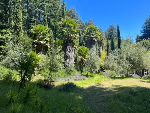 1385 Amaya Ridge Rd, Soquel, CA 95073 photo 15