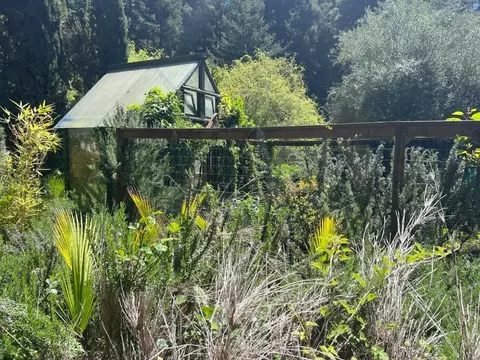 1385 Amaya Ridge Rd, Soquel, CA 95073 photo 21