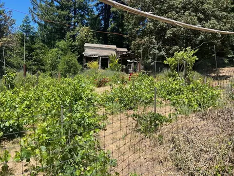 1385 Amaya Ridge Rd, Soquel, CA 95073 photo 33