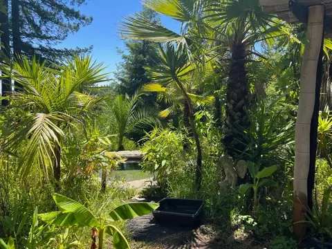 1385 Amaya Ridge Rd, Soquel, CA 95073 photo 31