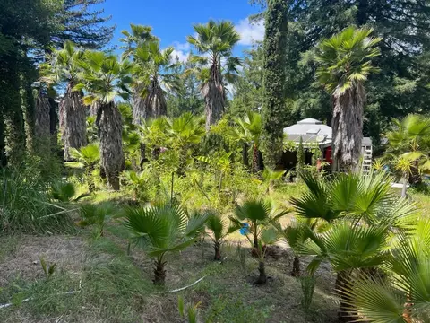 1385 Amaya Ridge Rd, Soquel, CA 95073 photo 29