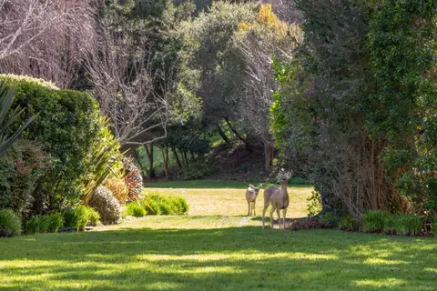 Exterior - 9542 Maple Ct, Carmel, CA 93923 photo 6 of 6