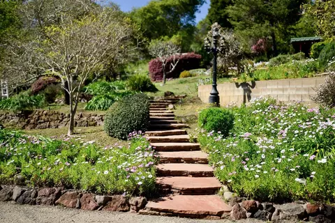 Exterior - 260 Rancho Soquel Rd, Soquel, CA 95073 photo 6 of 54