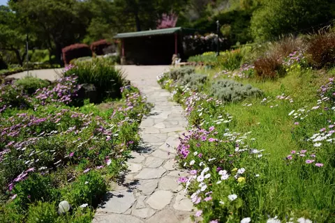 Exterior - 260 Rancho Soquel Rd, Soquel, CA 95073 photo 48 of 54