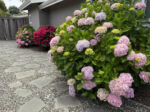 Exterior - 522 Spruce St, Aptos, CA 95003 photo 11 of 16