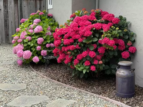Exterior - 522 Spruce St, Aptos, CA 95003 photo 10 of 16
