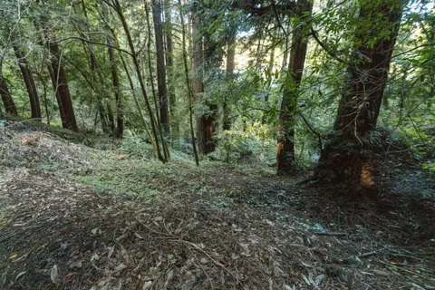 0 Pringle Ln, Soquel, CA 95073 photo 17