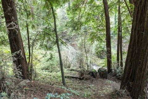 0 Pringle Ln, Soquel, CA 95073 photo 18