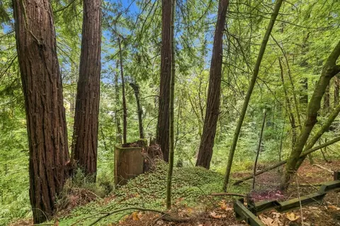 0 Pringle Ln, Soquel, CA 95073 photo 9
