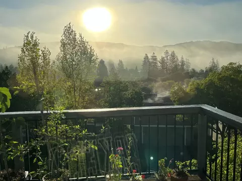 Other - 118 Merion Ter, Moraga, CA 94556 photo 9 of 21