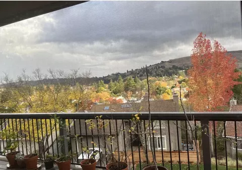 Other - 118 Merion Ter, Moraga, CA 94556 photo 15 of 21