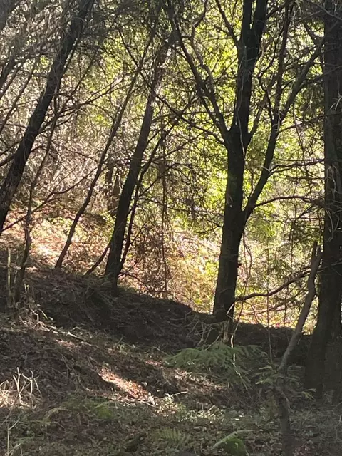00 Redwood, Santa Cruz, CA 95060