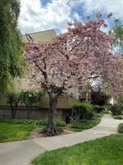 4415 Norwalk Dr 3, San Jose, CA 95129