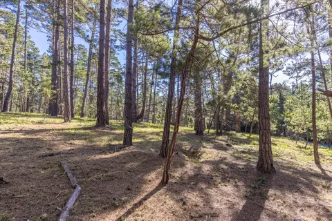 1401 Viscaino Rd, Pebble Beach, CA 93953 photo 15
