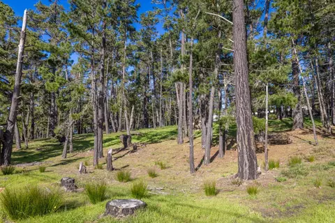 1401 Viscaino Rd, Pebble Beach, CA 93953 photo 17