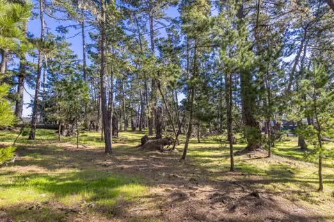 1407 Viscaino Rd, Pebble Beach, CA 93953 photo 9