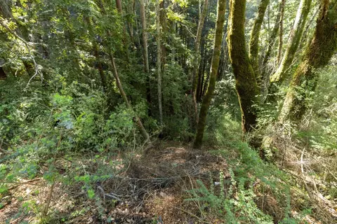43 And 44 Buckeye St, Felton, CA 95018