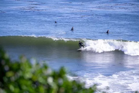 View/Area - 318 Park Ave, Capitola, CA 95010 photo 7 of 7
