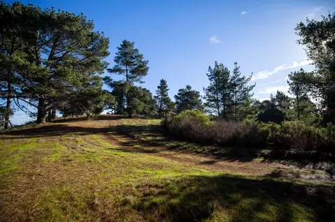 34 Tehama, Carmel, CA 93923 photo 15