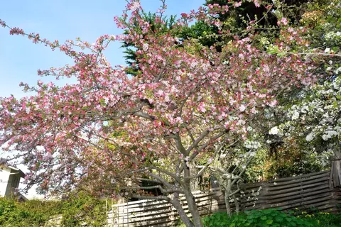Other - 457 Monterey Dr, Aptos, CA 95003 photo 2 of 15