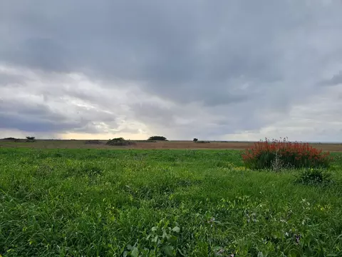 0 Pacific Ave, Half Moon Bay, CA 94019
