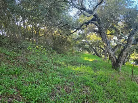 0 Paradise Rd, Salinas, CA 93907 photo 26