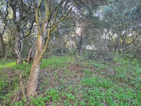 0 Paradise Rd, Salinas, CA 93907 photo 24