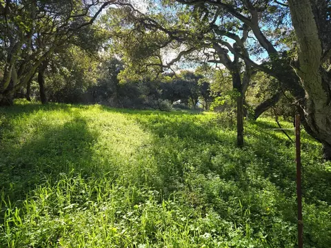 0 Paradise Rd, Salinas, CA 93907 photo 5