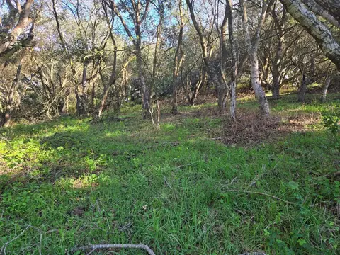 0 Paradise Rd, Salinas, CA 93907 photo 11