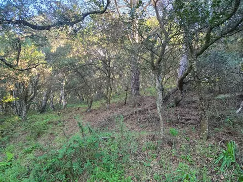 0 Paradise Rd, Salinas, CA 93907 photo 22