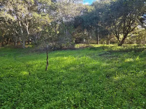 0 Paradise Rd, Salinas, CA 93907 photo 7
