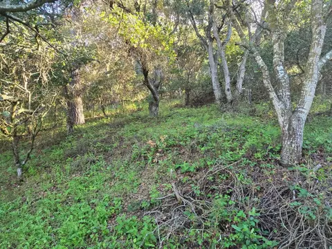 0 Paradise Rd, Salinas, CA 93907 photo 20