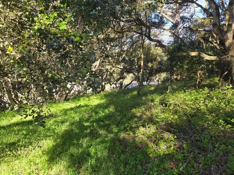 0 Paradise Rd, Salinas, CA 93907 photo 13