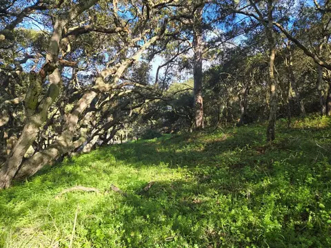 0 Paradise Rd, Salinas, CA 93907 photo 14