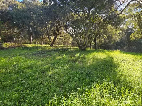 0 Paradise Rd, Salinas, CA 93907 photo 6