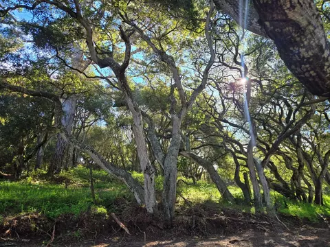 0 Paradise Rd, Salinas, CA 93907 photo 28