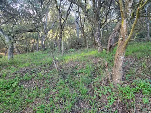 0 Paradise Rd, Salinas, CA 93907 photo 23