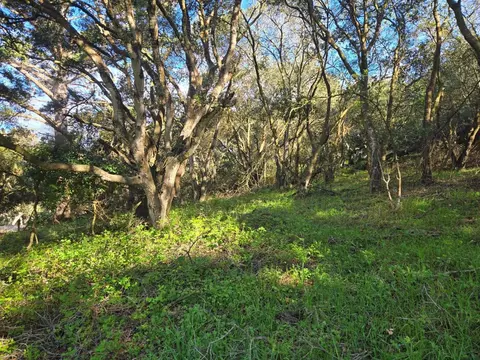 0 Paradise Rd, Salinas, CA 93907 photo 12