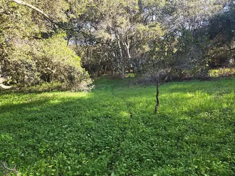 0 Paradise Rd, Salinas, CA 93907 photo 8