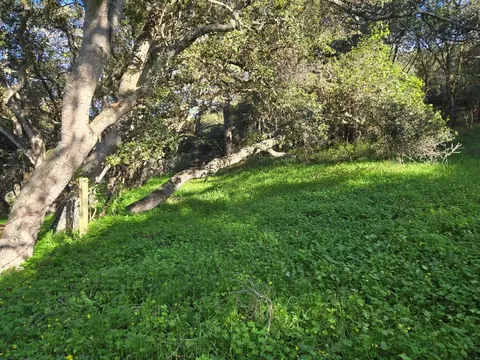 0 Paradise Rd, Salinas, CA 93907 photo 9