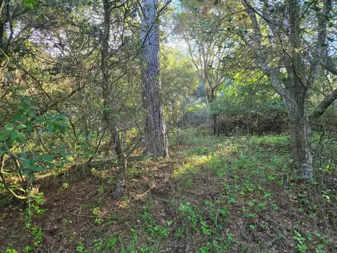 0 Paradise Rd, Salinas, CA 93907 photo 21