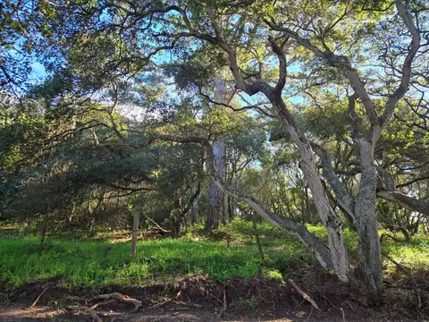 0 Paradise Rd, Salinas, CA 93907 photo 27