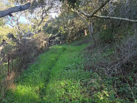 0 Paradise Rd, Salinas, CA 93907 photo 18