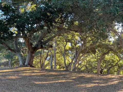 70 Chamisal Pass, Carmel Valley, CA 93923 photo 9